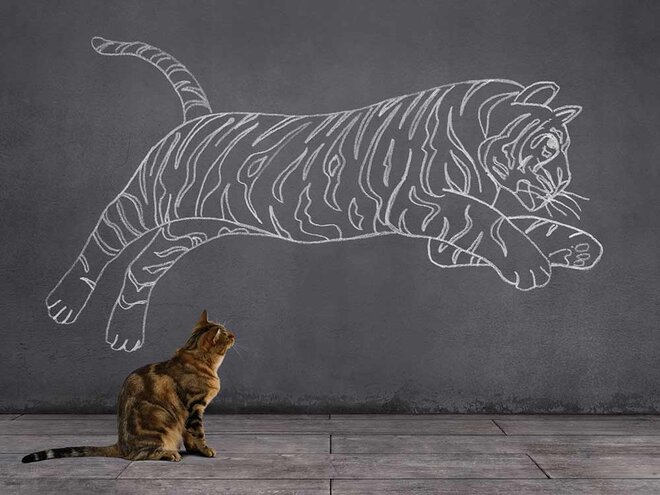 Two unloved stocks to watch out for