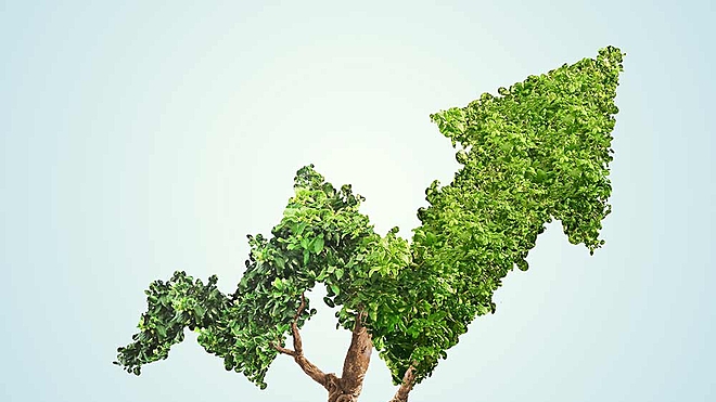 We put the dividend vs growth debate to rest with this conclusive study