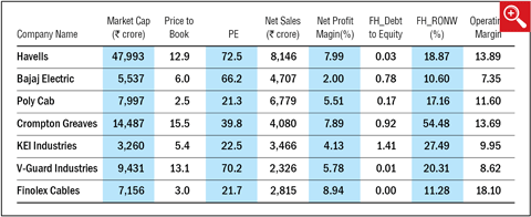An insider's view on Polycab IPO
