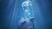 Decoding the FMP Crisis