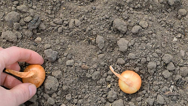 three-mid-caps-that-are-up-for-easy-grabs