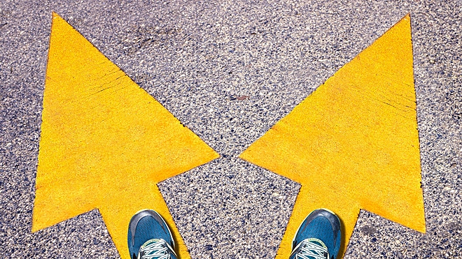 top-contrary-bets-by-fiis-and-diis