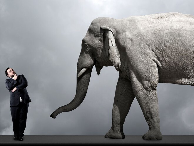 What to do with your big, fat fund