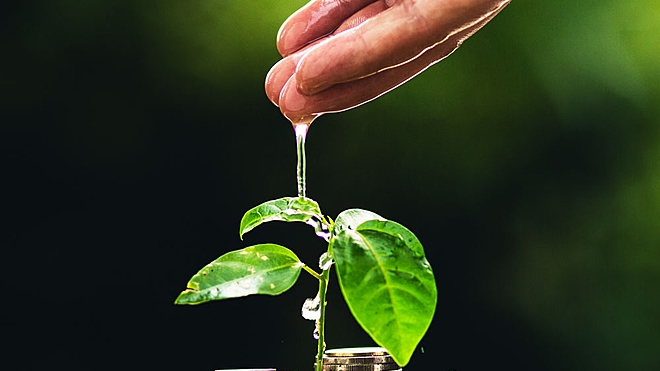 Dhirendra Kumar explains the filtering mechanism that can be used to consolidate your mutual fund portfolio
