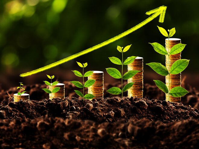 Should I opt for a weekly Systematic Transfer Plan (STP)?