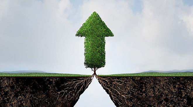 Three high-growth small caps in the marshes