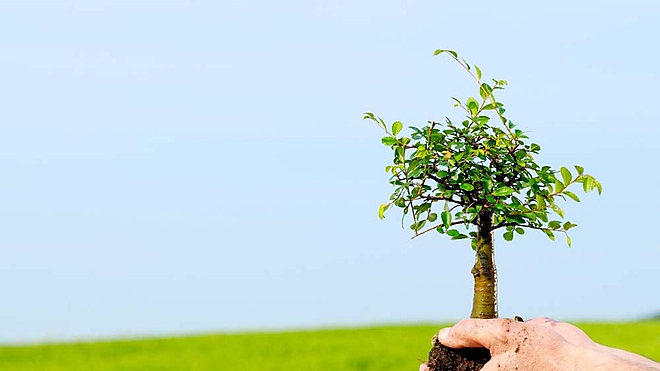 Here are two growth at a reasonable price (GARP) stocks in the mid-cap space