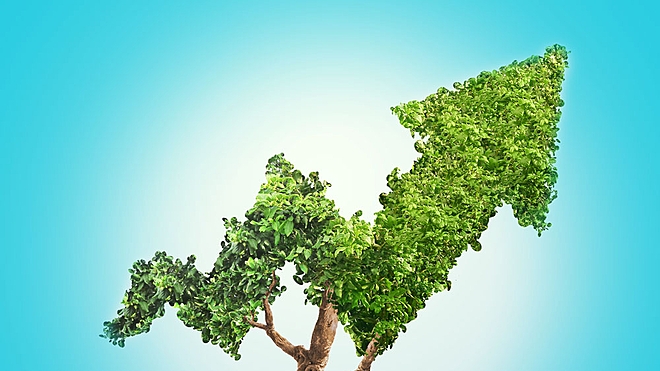 Dhirendra Kumar advises being systematic with your investments