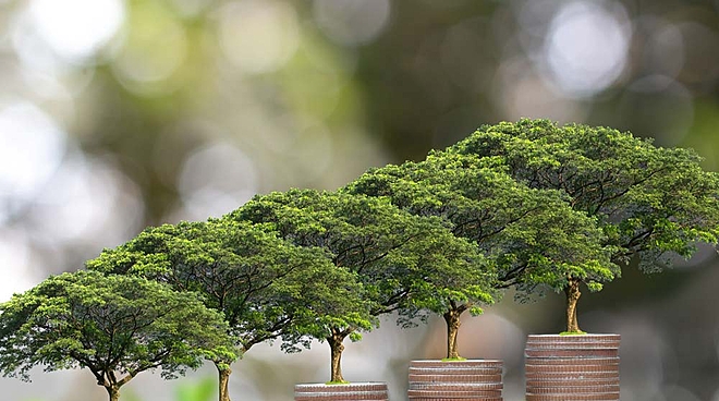 Debt funds you will ever need