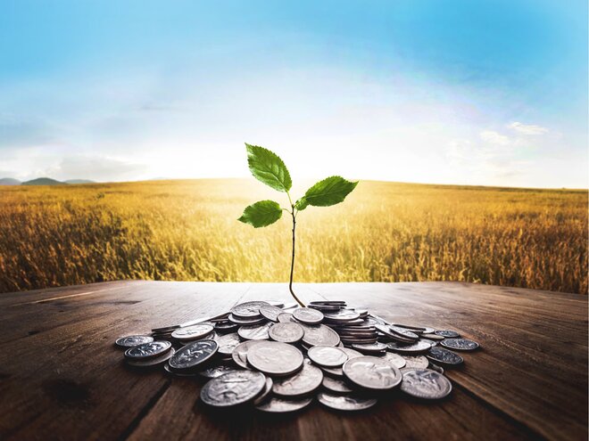 Should I continue with my investments in thematic and mid-cap funds?