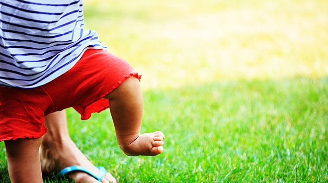 What is the difference between mutual funds and shares?