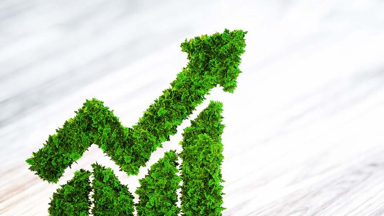 Is it time to invest in value and contra funds?