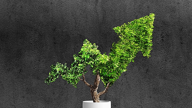 Trailing or rolling returns - which is better while choosing a fund?