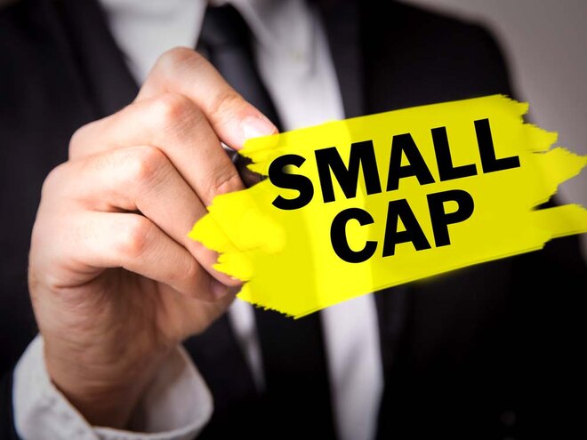 Small-cap growth stocks available at attractive prices