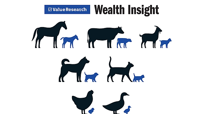 In the latest issue of 'Wealth Insight', we bring you companies that have created wealth for their investors through their consistently rising dividends
