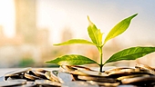 A mid-cap stock that thrives on both value & growth