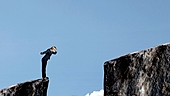 Are credit-risk funds worth the risk?