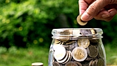 Large-cap stocks with increasing mutual funds' stake