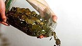 Should I withdraw my insurance proceeds and invest in mutual funds?