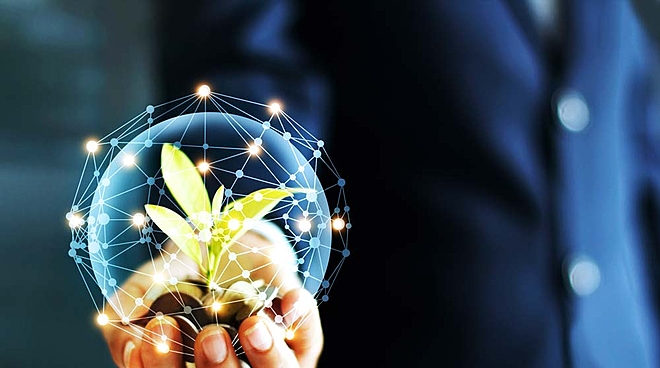 Should I continue my investment in mid-cap funds?