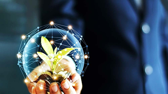 should-i-continue-my-investment-in-mid-cap-funds