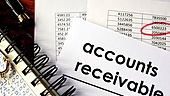Companies with mounting dues from the government