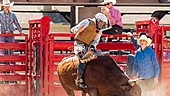 A successful offbeat stock picker