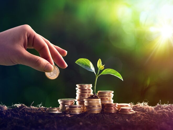 Where should I invest my gratuity amount?