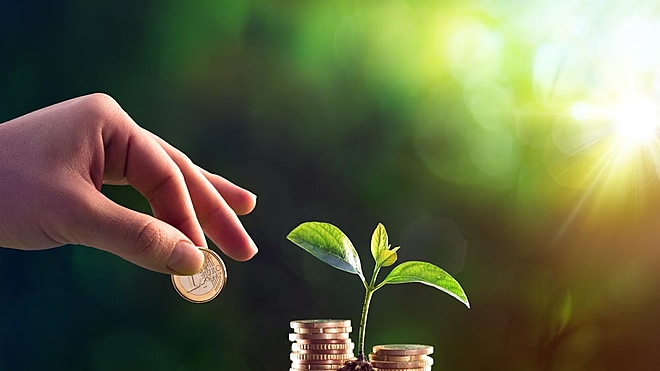 Where should I invest my gratuity amount?