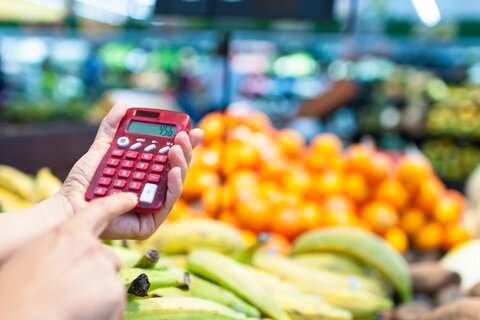 how-can-i-guess-the-future-rate-of-inflation-and-household-expenditure
