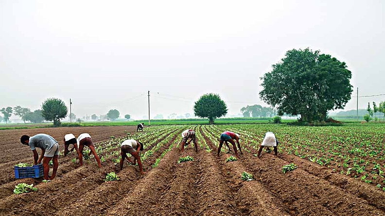 Are the three new agri laws anti-farmer?