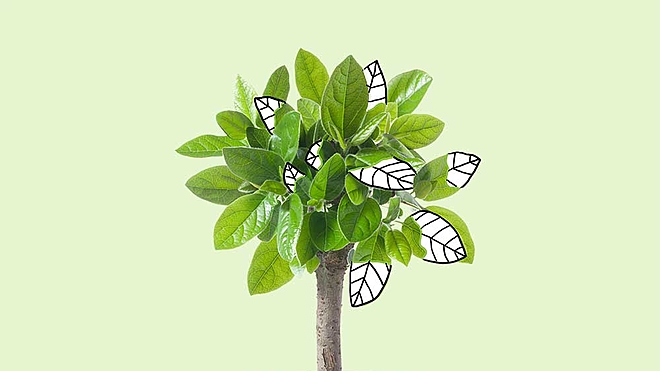 Few savers need any tool beyond hybrid funds to maintain the asset allocation they need
