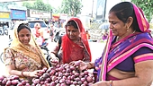 Can the RBI control onion prices?