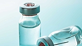 Gland Pharma IPO: Information Analysis
