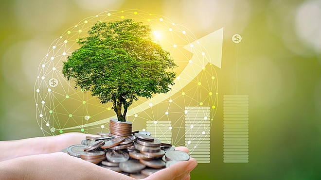 Companies that have never diluted their ownership through corporate actions but have still delivered strong performance