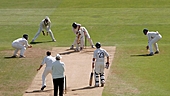 Cricket and fund ratings