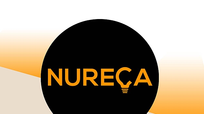 nureca-ipo-information-analysis