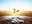 The rise of ESG investing