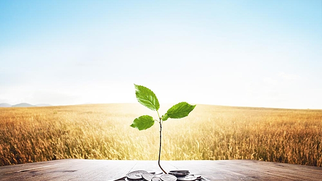 The rise of ESG investing