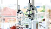 Laxmi Organic Industries IPO: Information Analysis