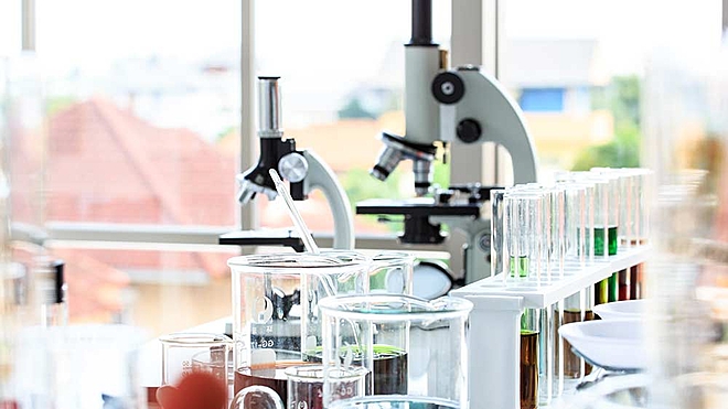 Laxmi Organic Industries IPO: Information Analysis