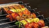 Barbeque Nation IPO: Information Analysis