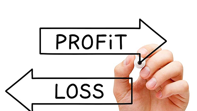 The profit-and-loss statement gives a summary of the income and expenses, and thus profitability, of a business