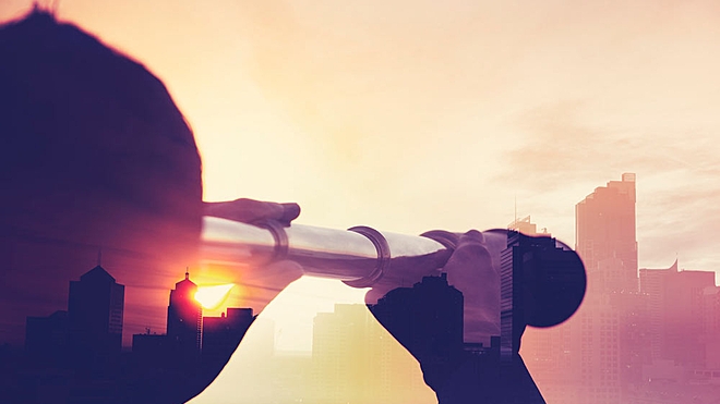 Valuing a company on the basis of its market size is fraught with pitfalls