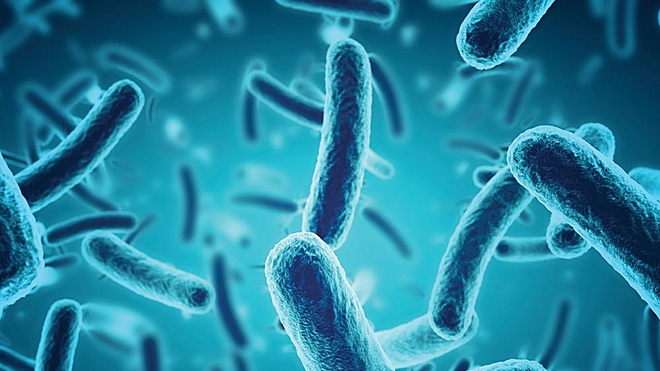 How lessons from the past pandemics can help to fight the current one