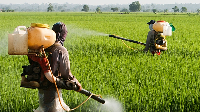 This agro-chemical manufacturer aims to raise Rs 800 crore through an initial public offering. Find out if you should invest in its shares.