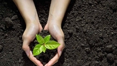 Mirae launches new fund to invest in America's top 50 companies