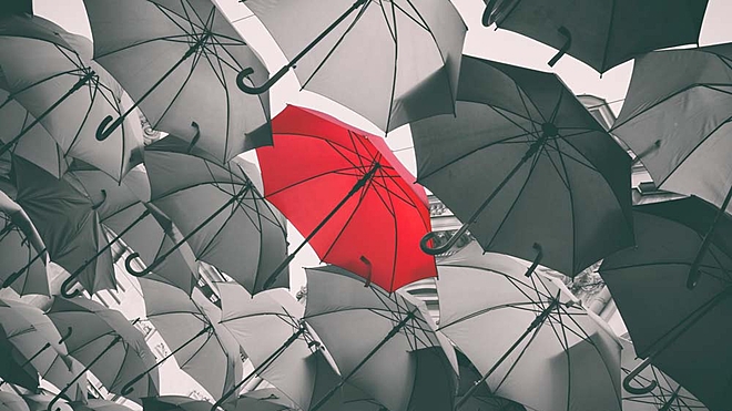 Should I add riders to my term insurance or have separate policies?