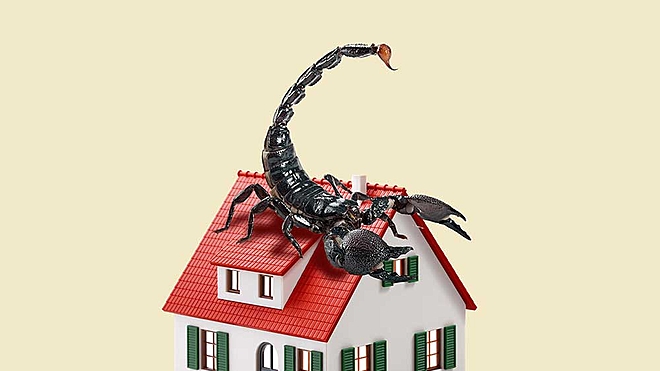 ever-vigilant-against-realtors-grand-dreams