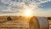 Making hay while the sun shines
